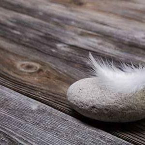 Meet your Posher, Selims