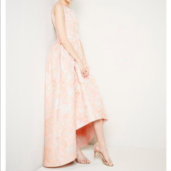 adrianna papell blush pink dress