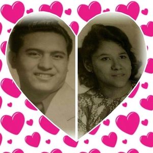 Meet your Posher, Esther