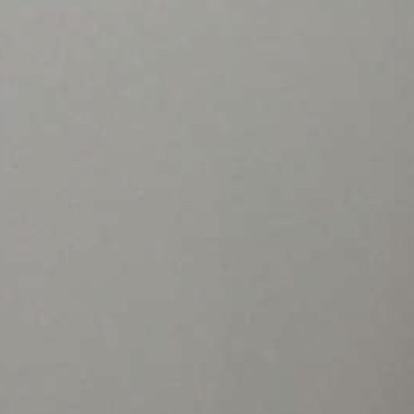 Meet your Posher, Levi - Picture 1 of 1