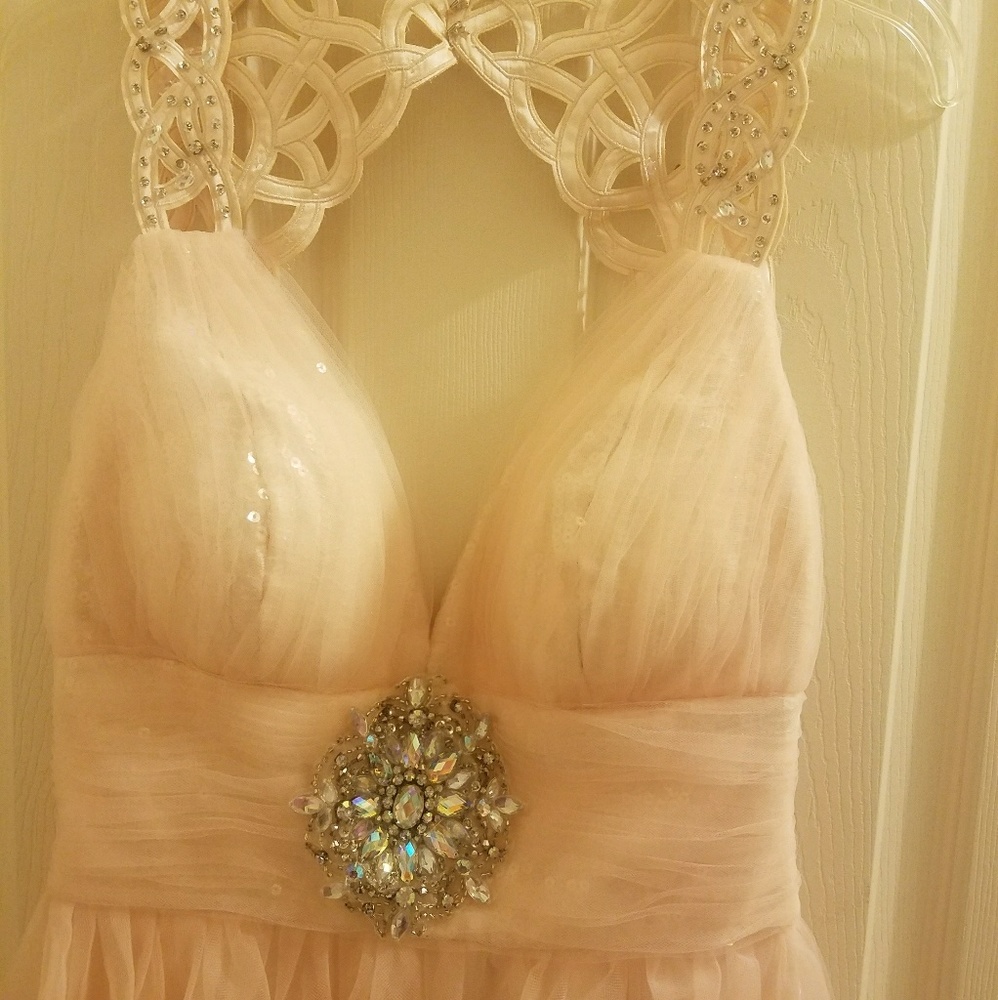 A elegant rose dress