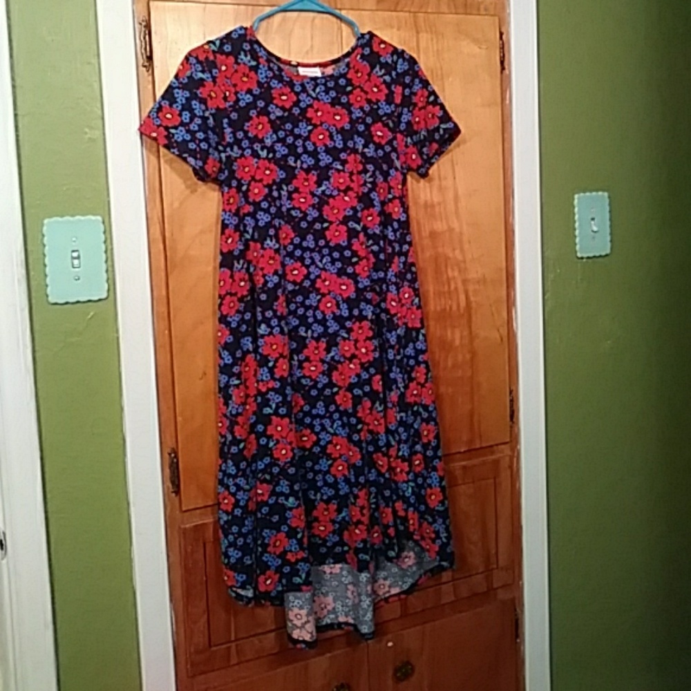 Xxs Lularoe Carly