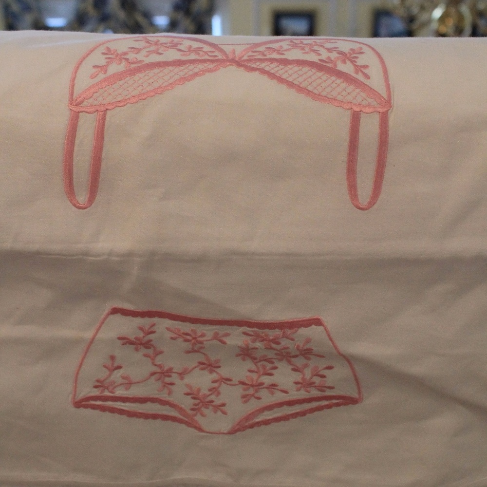 Ana Moi bra and panty travel companion