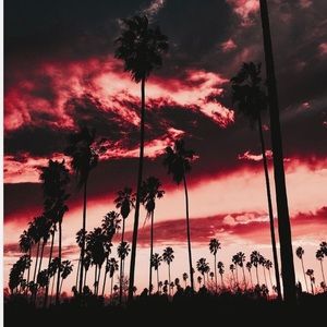 Meet your Posher, Annie