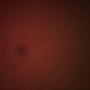 Meet your Posher, Kisna