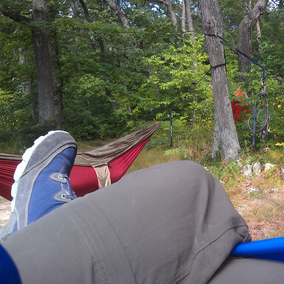 Meet your Posher, Jazzy - Picture 3 of 4