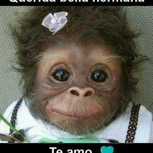 Meet your Posher, Dorcas