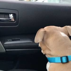 Meet your Posher, Cacharel