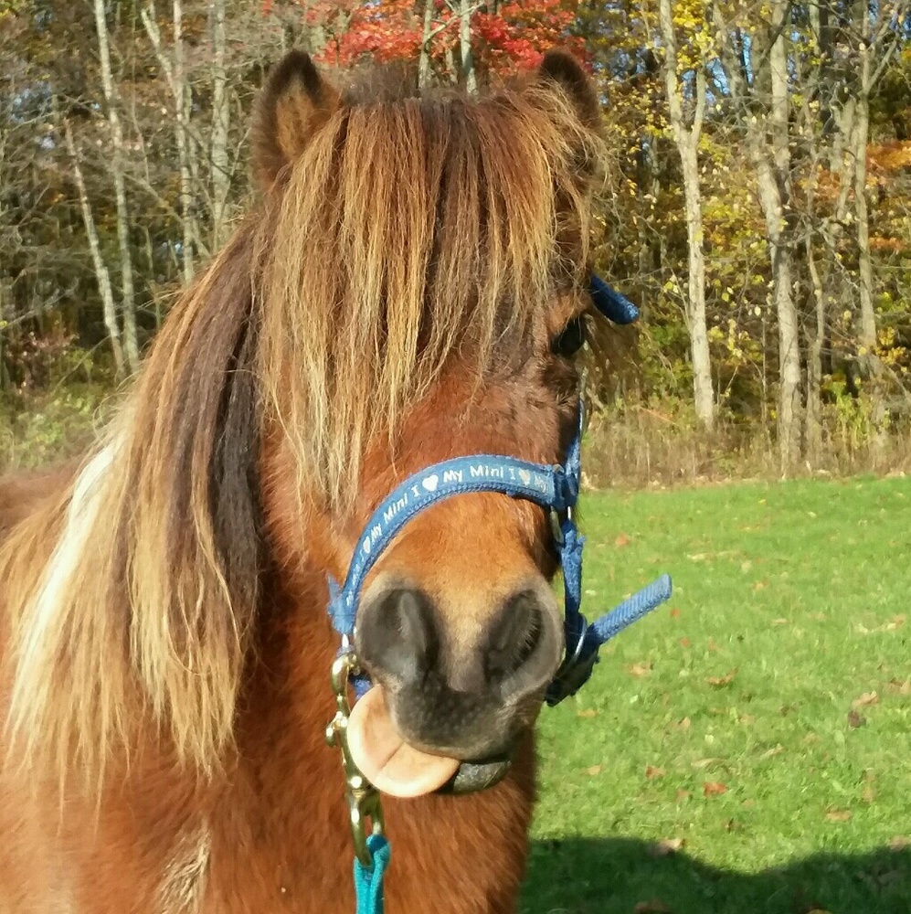 Meet your Posher, Anna