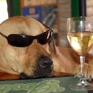 Meet your Posher, Avery