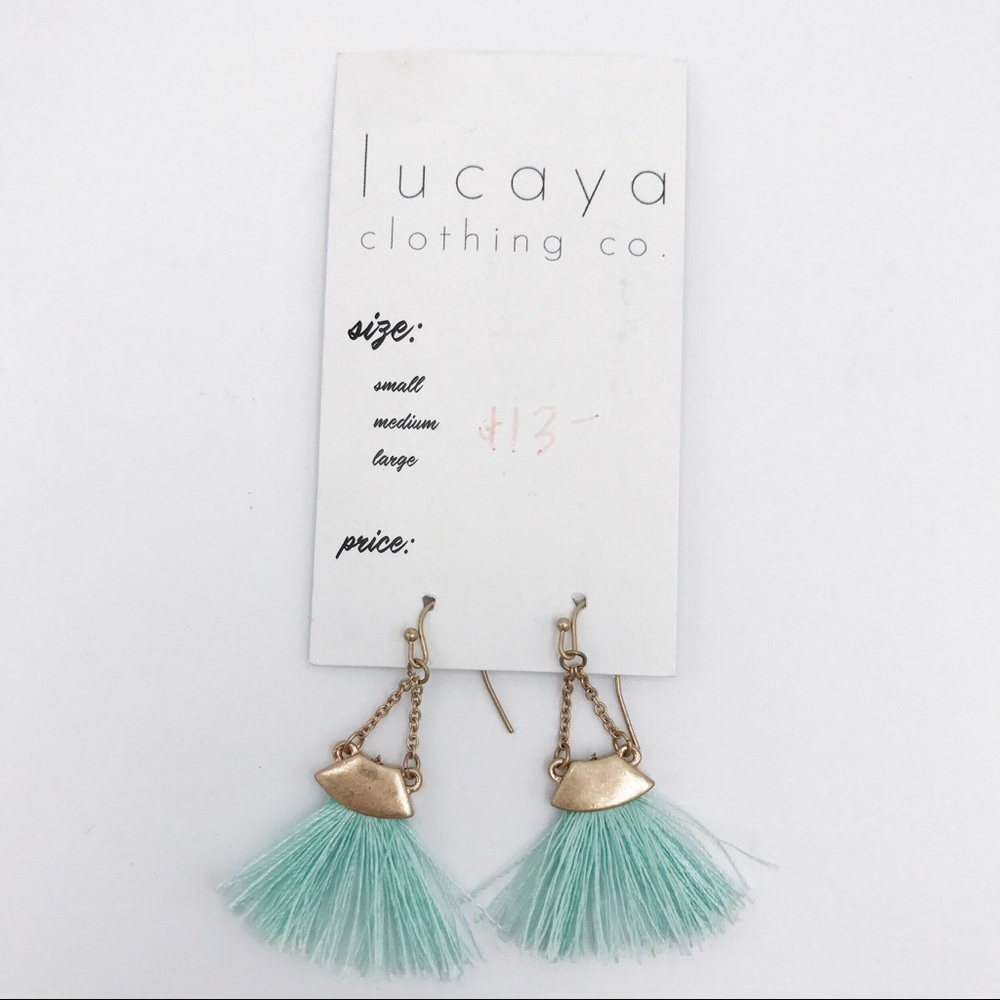 NWT Tassel Earrings