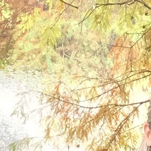 Meet your Posher, Aimee