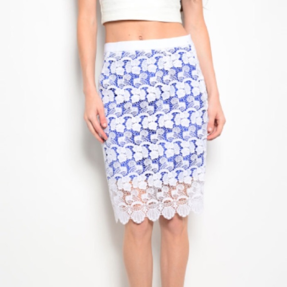Royal Crochet Pencil Straight Line Skirt - Picture 1 of 3