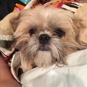 Meet your Posher, Melissa