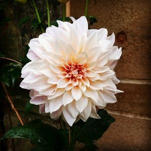 Meet your Posher, Sue