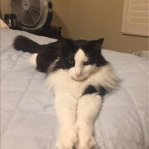 Meet your Posher, Candice