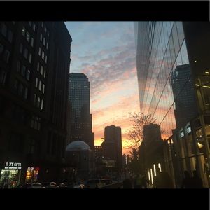 Meet your Posher, Dorina