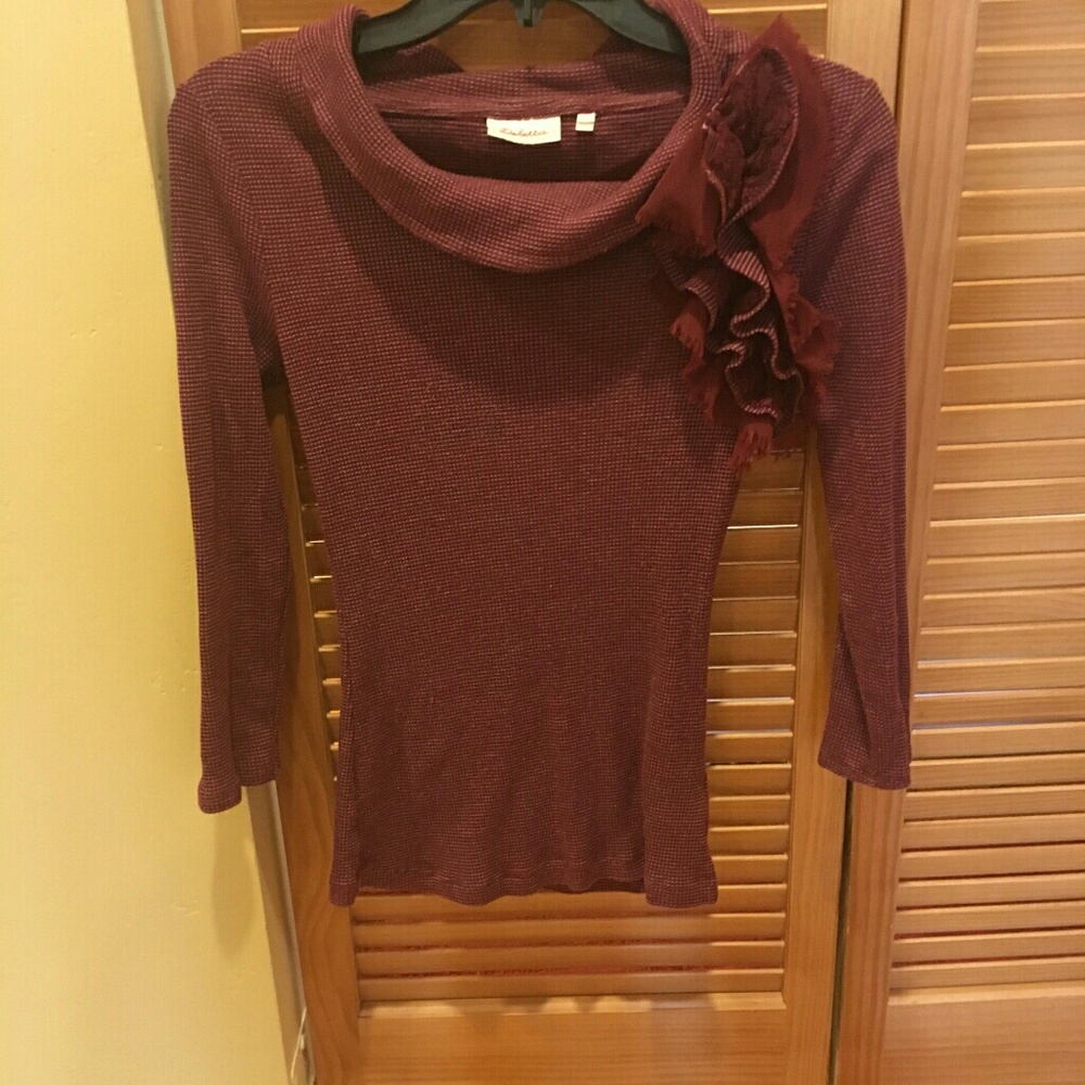 Burgundy knit turtleneck.  Deleeta/ Anthropologie