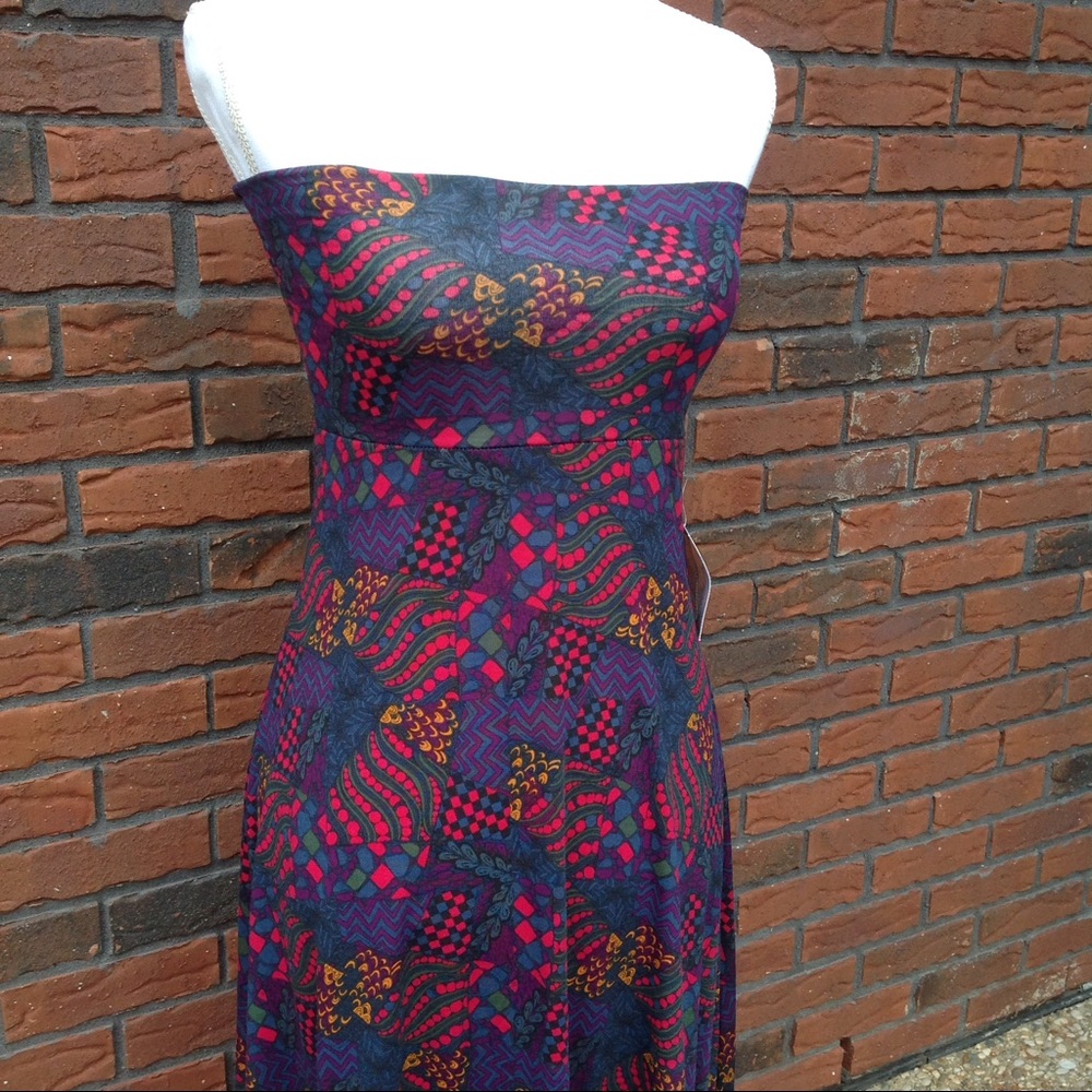 LuLaRoe Maxi skirt / dress