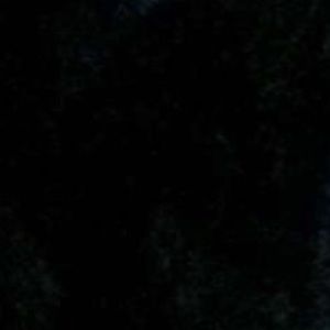 Meet your Posher, Britney