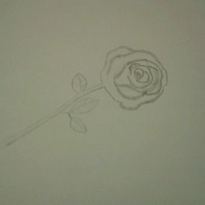 Meet your Posher, Manny