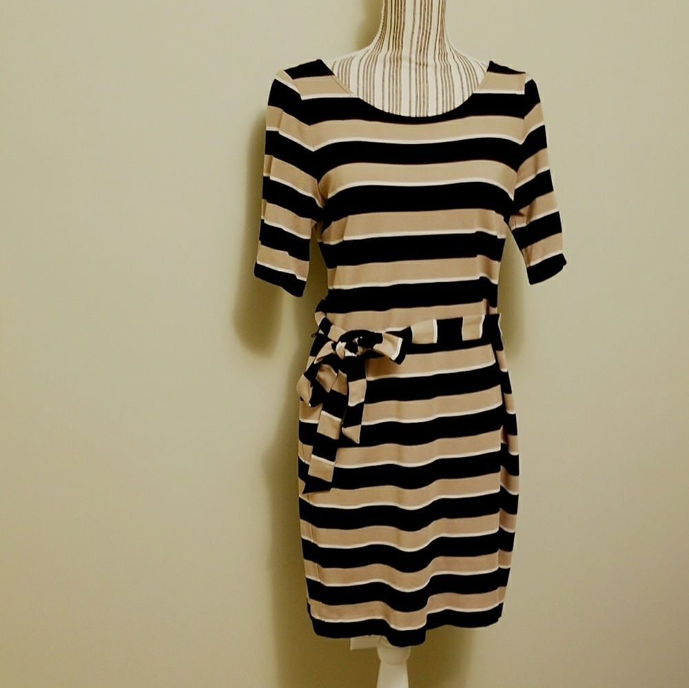 Banana Republic Black and tan dress