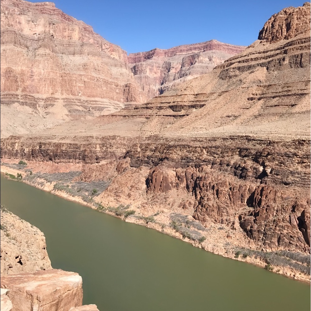 Meet your Posher, Sophia