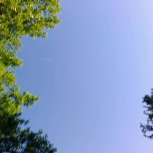 Meet your Posher, Ed-love