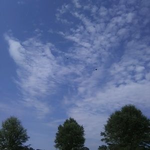 Meet your Posher, Larandi