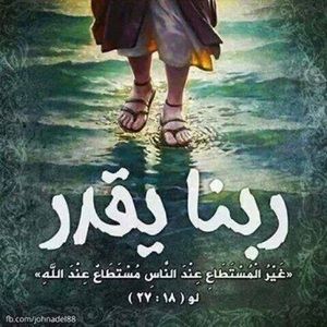 Meet your Posher, Amira