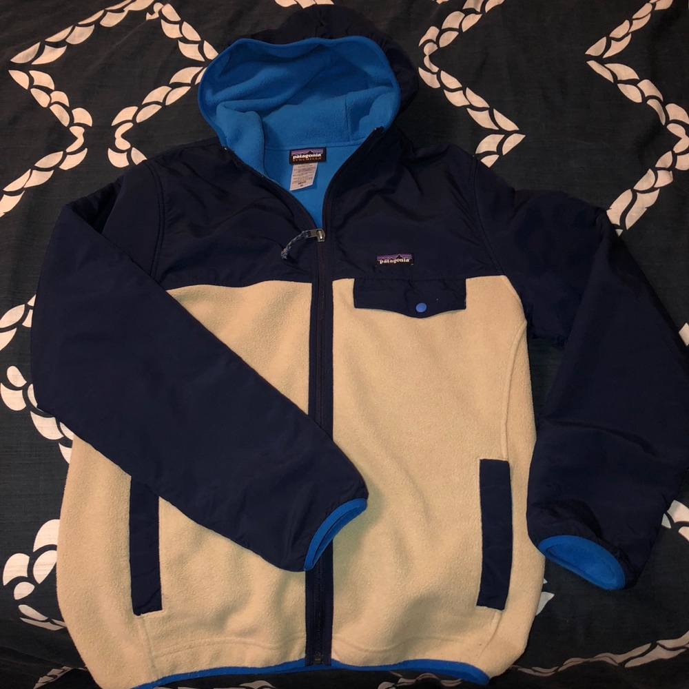 Patagonia Synchilla Snap-T Hoody