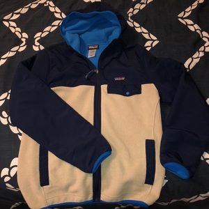 Patagonia Synchilla Snap-T Hoody