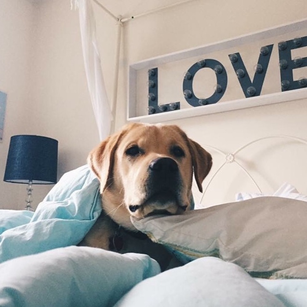 Meet your Posher, Kate