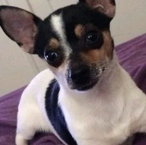 Meet your Posher, Katelyn