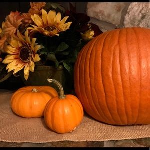 Meet your Posher, Codie