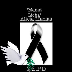 Meet your Posher, Veronica