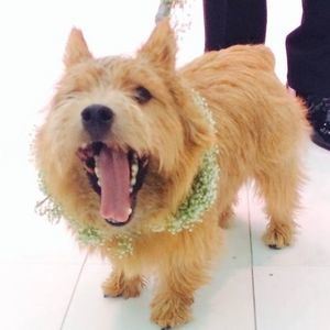 Meet your Posher, Caroline