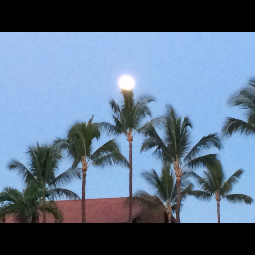 Meet your Posher, Felicia