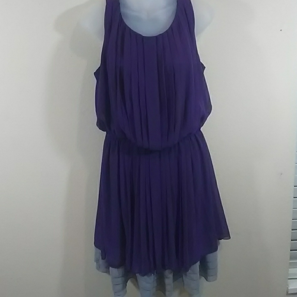 Dressbarn purple pleaded dress