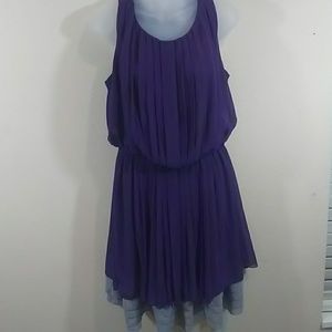 Dressbarn purple pleaded dress