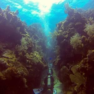 Meet your Posher, Sayde