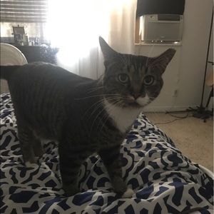 Meet your Posher, Clayton