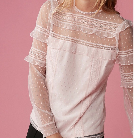 express petite tops