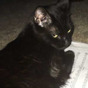 Meet your Posher, Camryn