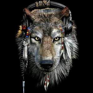 Meet your Posher, Tanner