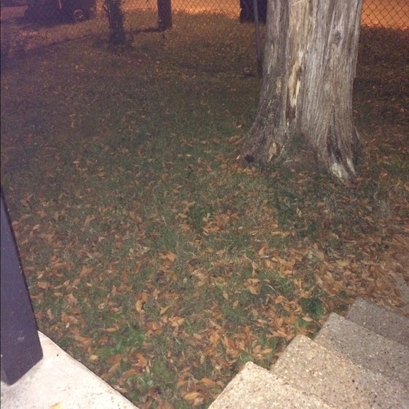 Meet your Posher, Ashley - Picture 1 of 1