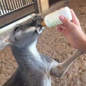 Meet your Posher, Madi