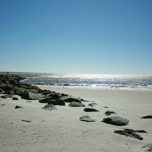 Meet your Posher, Julia