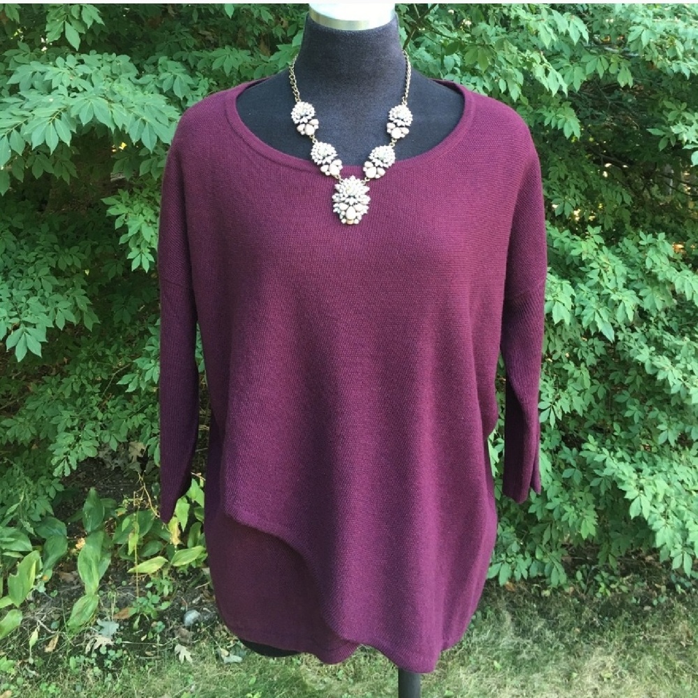 Gorgrous Plum Wrap Sweater NWOT