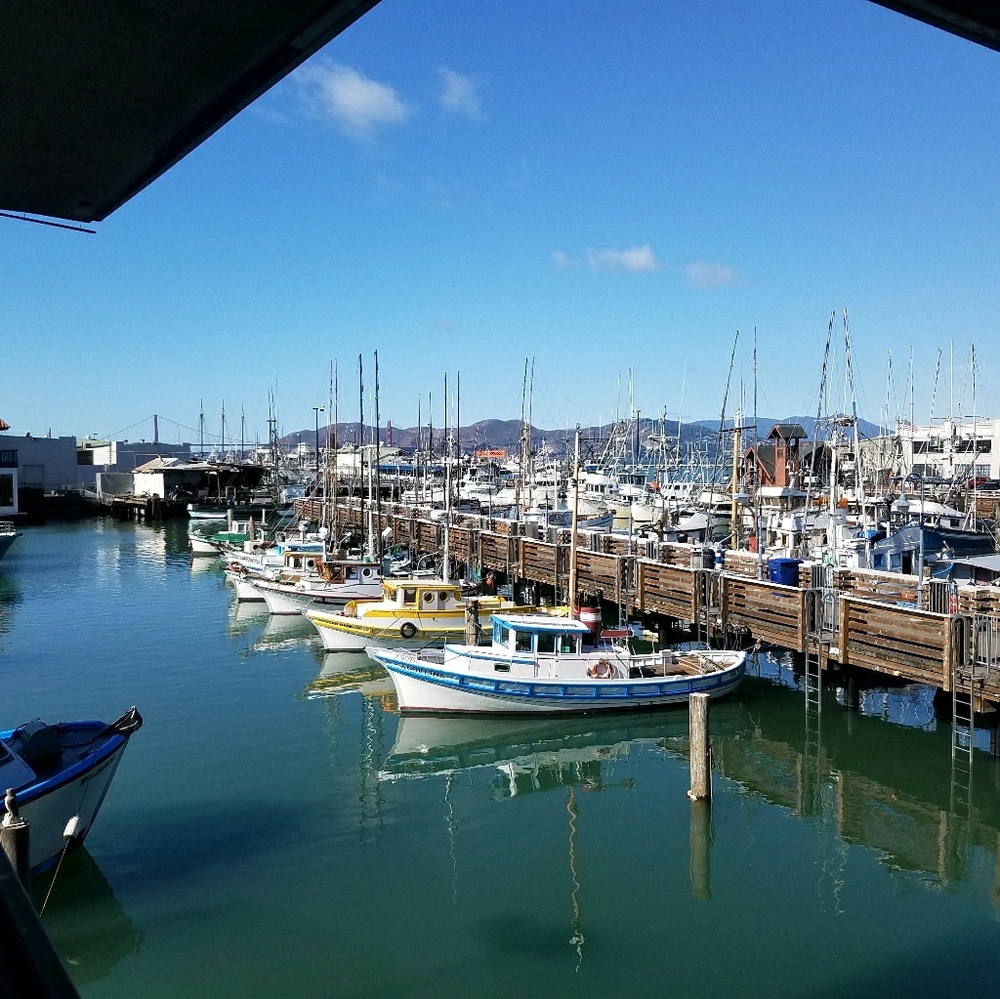 Meet your Posher, Atheena